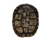 Red Ear Turtle Shell with a Block Pattern 5" to 6" - 227GS-0506B (Y3KRX)