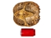 Snapping Turtle Shell with Plastron: 8" to 9" - 229-WP-0809 (Y3K)