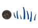 Oil-Painted Dentalium octangulatum: ~0.5" to 1": Blue (30 g) - 267-30G-PS-BL (Y2KC15)