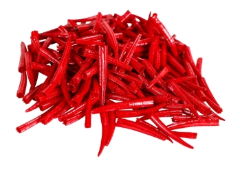 Oil-Painted Dentalium octangulatum: ~0.5" to 1": Red (30 g) dentalia, tusk shells, oil painted