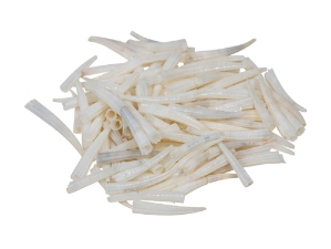 Dentalium octagulatum: ~0.5" to 0.75" (90 pieces) dentalia, tusk shells