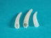 Dentalium octagulatum: ~0.5" to 1" (kg) - 267-KG-S (Y3LR-B1)