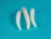 Dentalium octagulatum: ~0.5" to 1" (kg) - 267-KG-S (Y3LR-B1)