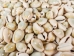 Ringtop Cowrie Shells (kg) - 269-274-KG (Y2J)