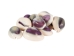 Purple Ringtop Cowrie Shell (10-Pack) - 269-275-D (Y1JC03)