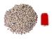 Purple Ringtop Cowrie Shell (kg) - 269-275-KG (Y3JRR)