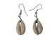 Cowrie Shell Earrings - 269-E01-AS (9UD6)