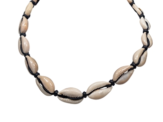 18" Cowrie Shell Necklace cowry shells