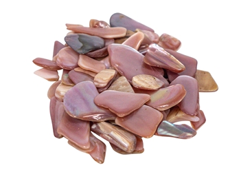 Pink Mussel Shell Pieces: 150g (bag) 