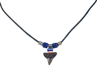 Fossil Shark Tooth Necklace with Card 