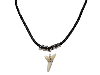 1" Mako Shark Tooth Necklace 