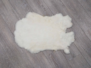 Female #1/#2 Rabbit Skin: Creamy White Breeder rabbit skins, Breeder rabbit fur, Breeder rabbit pelt, natural color, Breeder rabbit, female rabbit