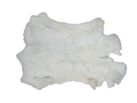 Czech #3 Female Rabbit Skin: Bleached White with Blue 