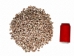 Nassa Phyrus Shells 0.375"-0.50" (1 kg or 2.2 lbs)    - 2HS-3247K-KG (Y3K)