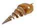 Tibia Shell: Spiral Cut: 4" to 5" (10 pack) - 2HS-4402-10 (9UL16)
