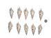 White Tibia Shell: Star Cut: 3.5" to 4" (10 pack) - 2HS-4416-10 (9UL16)