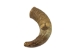 Weathered Steer Horn: #1 - 306-W-1 (Y3JR-A4)