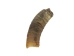 Weathered Steer Horn: #3 - 306-W-3 (Y3K)