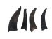 Black Goat Horns: 4" to 6" - 318-1BKS-AS (Y3KRE)