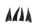 Black Goat Horns: <4" - 318-1BKXS-AS (Y1HRI)