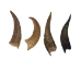Brown Goat Horns: 8" to 10" - 318-1BRL-AS (Y3KRF)