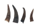 Brown Goat Horns: 4" to 6" - 318-1BRS-AS (Y1XC13)