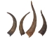 Brown Goat Horns: 12"+ - 318-1BRXXL-AS (Y3KRF)