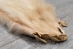 Finn Raccoon Skin: Natural White: Assorted - 322-WH-AS (Y2K)