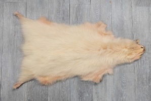 Finn Raccoon Skin: Natural White: Assorted 