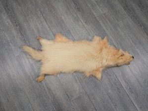 Finn Raccoon Skin: Natural White: Gallery Item 