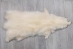 White Finn Raccoon: Size A - 322-WHA-AS (Y2KWR)