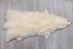 White Finn Raccoon: Size A - 322-WHA-AS