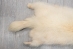 White Finn Raccoon: Size AAA+ - 322-WHAAA-AS (Y2KWR)