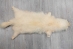 White Finn Raccoon: Size AAA+ - 322-WHAAA-AS (Y2KWR)
