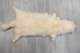 White Finn Raccoon: Size AAA+ - 322-WHAAA-AS (9UZ)