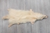 White Finn Raccoon: Size B - 322-WHB-AS (9UZ)