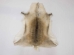 Reindeer Hide: Large - 33-L-AS (Y1G)