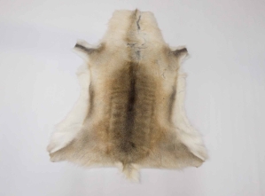 Reindeer Hide: Large 