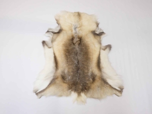 Reindeer Hide: Medium 