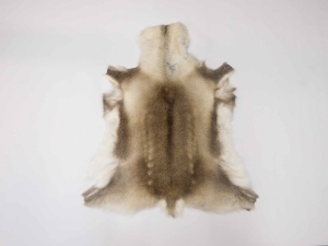 Reindeer Hide: Small 