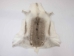 Reindeer Hide: XL - 33-XL-AS (Y2D)