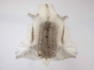 Reindeer Hide: XL 