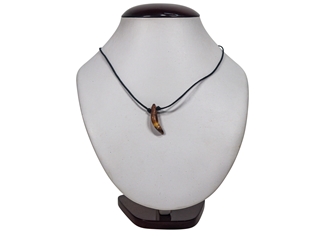 Fossil Seal Tooth Necklace 