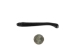 Otter Baculum: Black Dyed - 378-03B (Y2L)