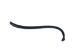 Raccoon Baculum: Large: Black Dyed - 378-05BL (Y2LC02)