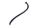 Raccoon Baculum: Large: Black Dyed - 378-05BL (Y2LC02)