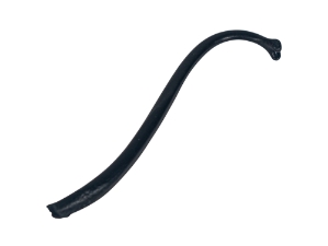 Raccoon Baculum: Large: Black Dyed 