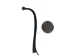 Raccoon Baculum: Small: Black Dyed - 378-05BS (Y2LC02)