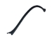Raccoon Baculum: Small: Black Dyed - 378-05BS (Y2LC02)