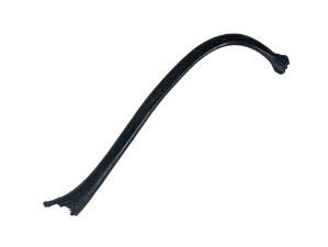 Raccoon Baculum: Small: Black Dyed 